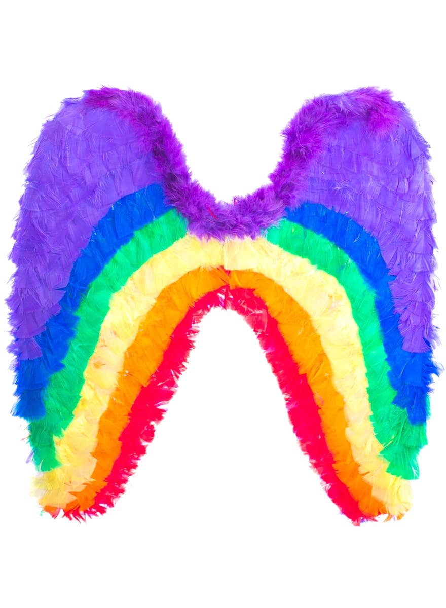 Rainbow Feather Costume Wings