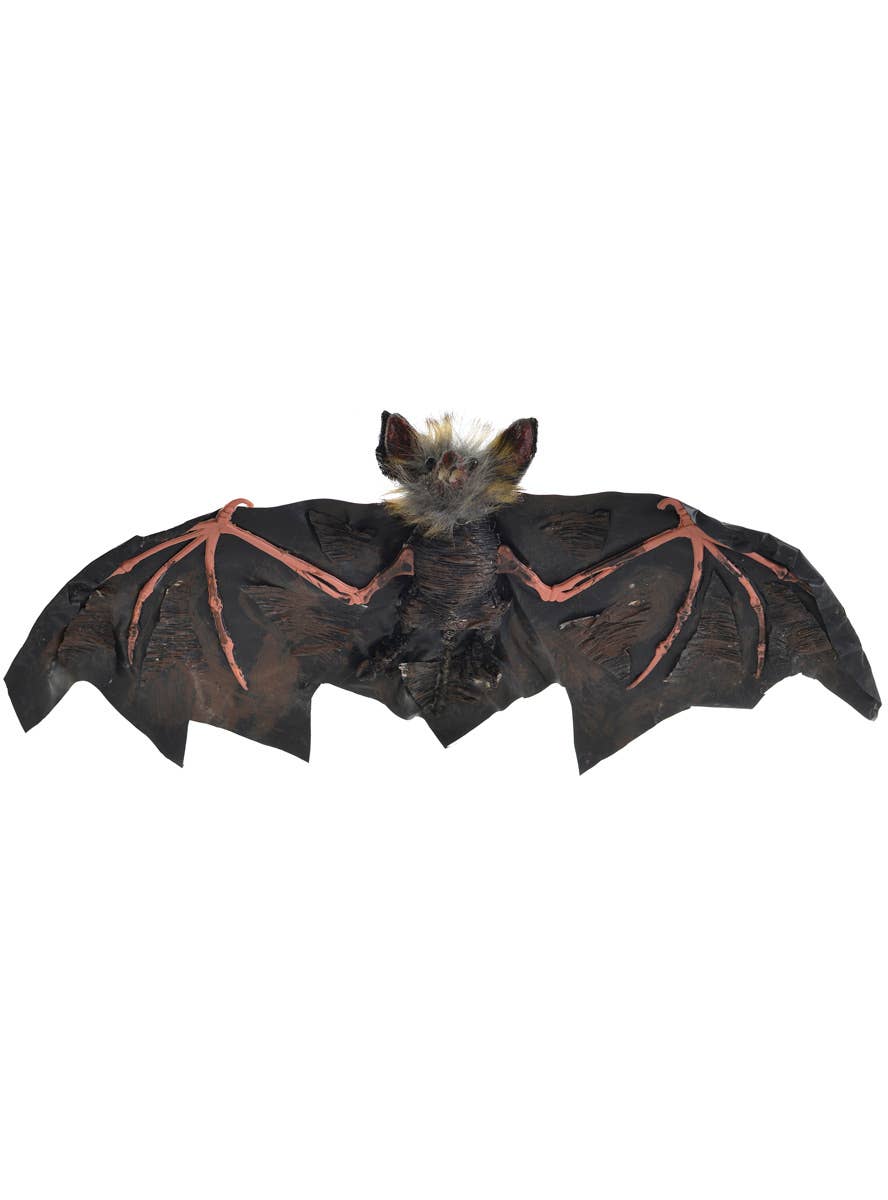 Hanging Black and Pink 30cm Vampire Bat Halloween Decoration - Main Image