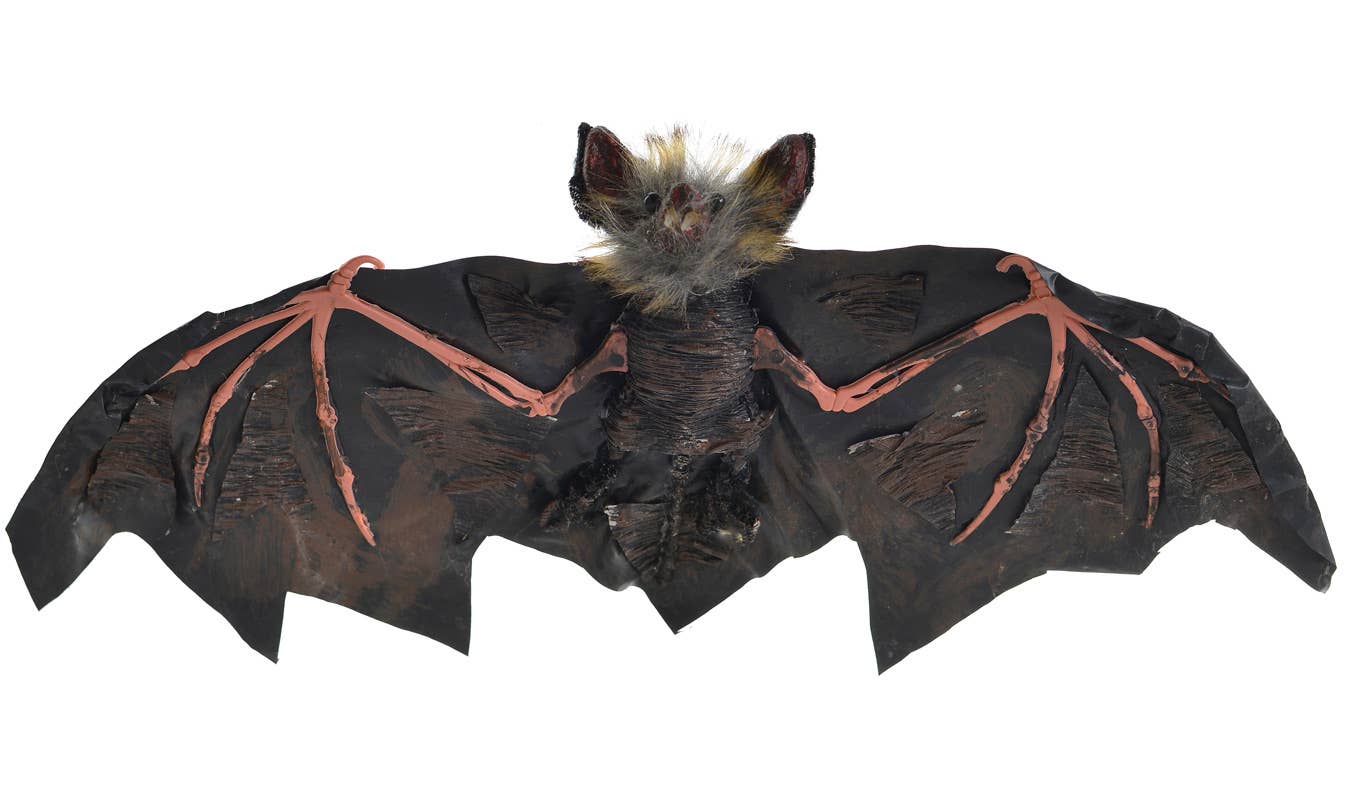Hanging Black and Pink 30cm Vampire Bat Halloween Decoration - Close Up
