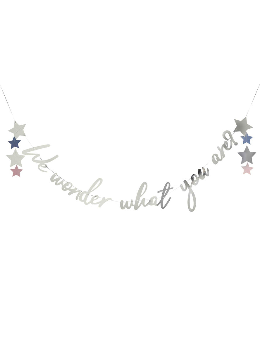 We Wonder What You Are 2m Long Silver Gender Reveal Party Banner - Main Image