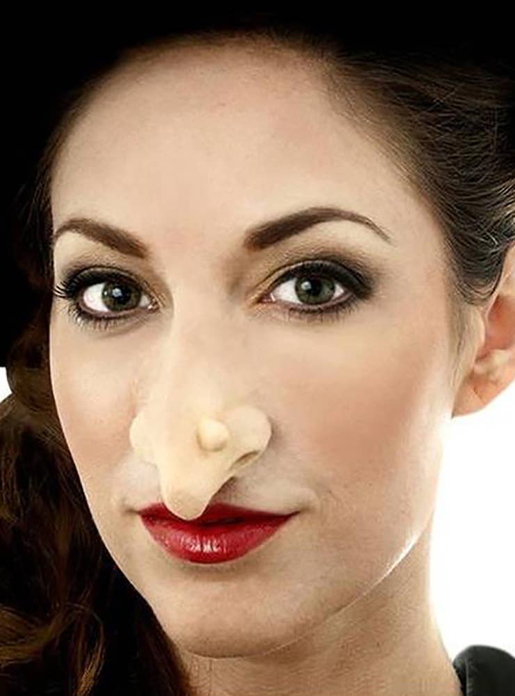 Image of Large Wicked Witch Prosthetic Niose Special Effects Costume Accessory