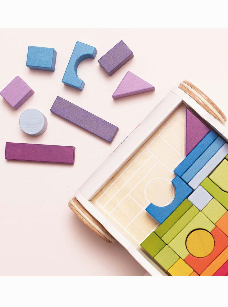 Wooden Baby Walker with 45 Piece Rainbow Blocks