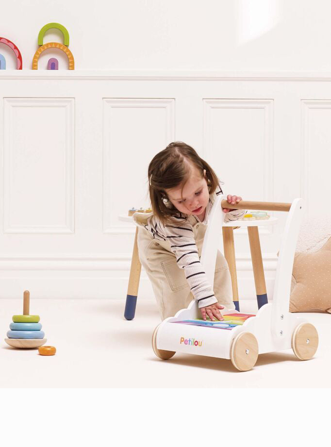 Wooden Baby Walker with 45 Piece Rainbow Blocks