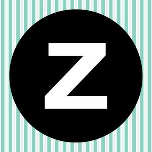 Dress Up Ideas Starting with Z