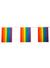 Image of 12 Rainbow Flag Mardi Gras Party Bunting