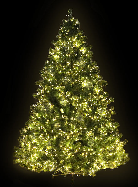 Light Up Jingle Jollys Christmas Tree with 8 Light Mode 1980 LED Lights 180cm - Black Background Image