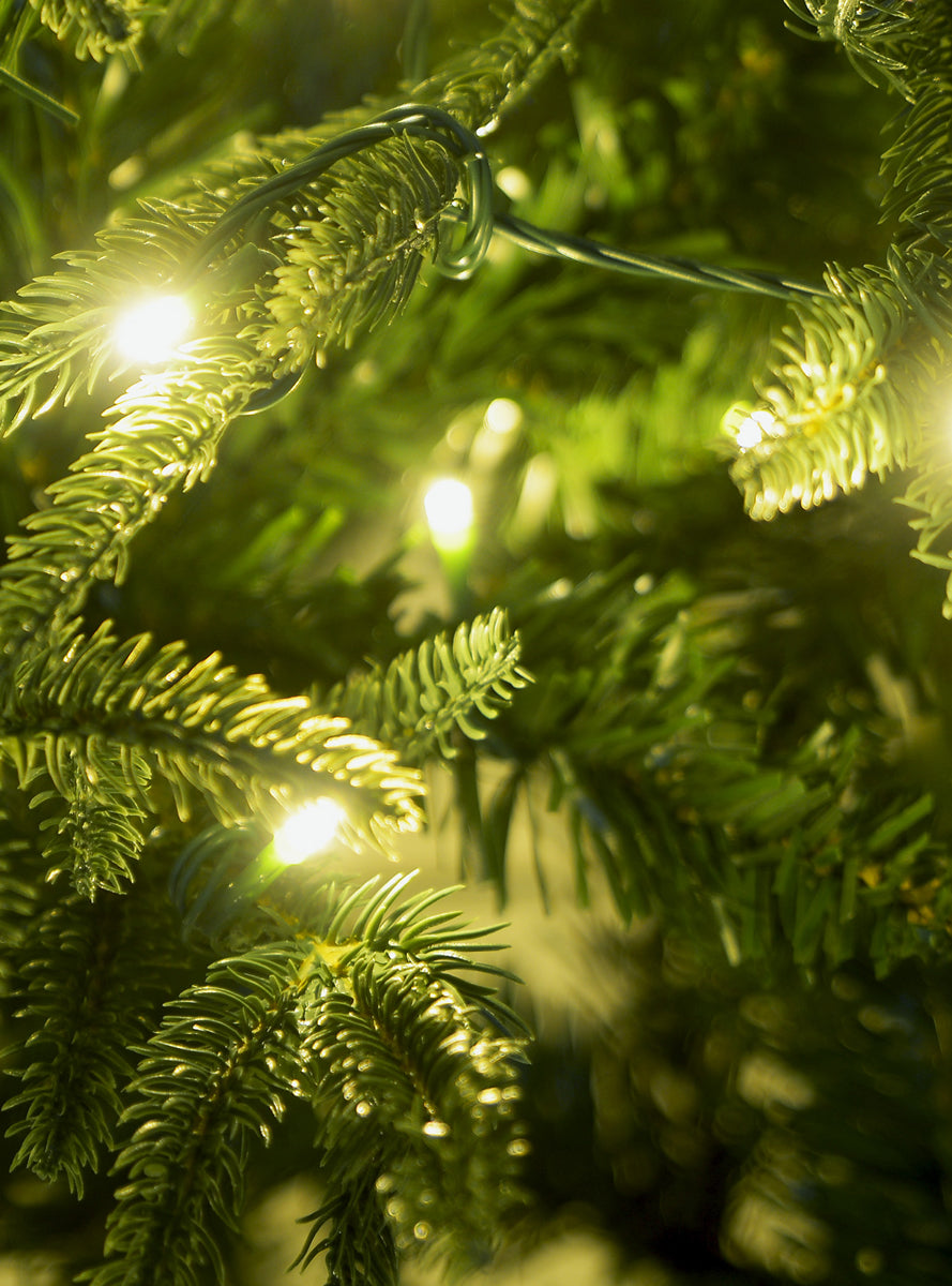 180cm Warm White Prelit Everglow Fir Christmas Tree - Close Image 2