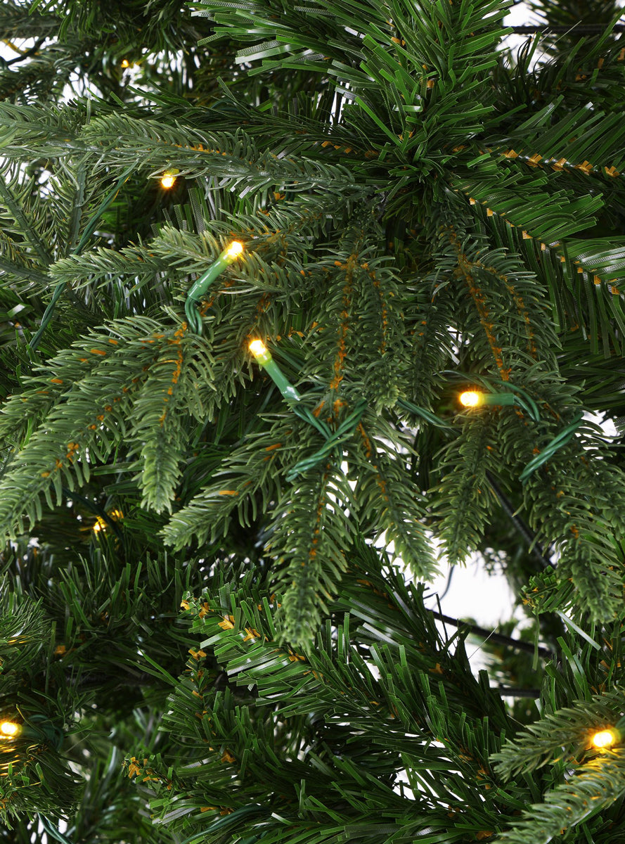 180cm Warm White Prelit Everglow Fir Christmas Tree - Info Image 3