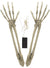 Image of Skeleton Arm Stakes With String Lights Halloween Decoration