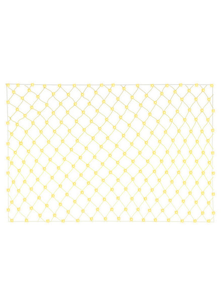 2 Metre x 3 Metre Warm White Net String Light Christmas Decoration - Main Image