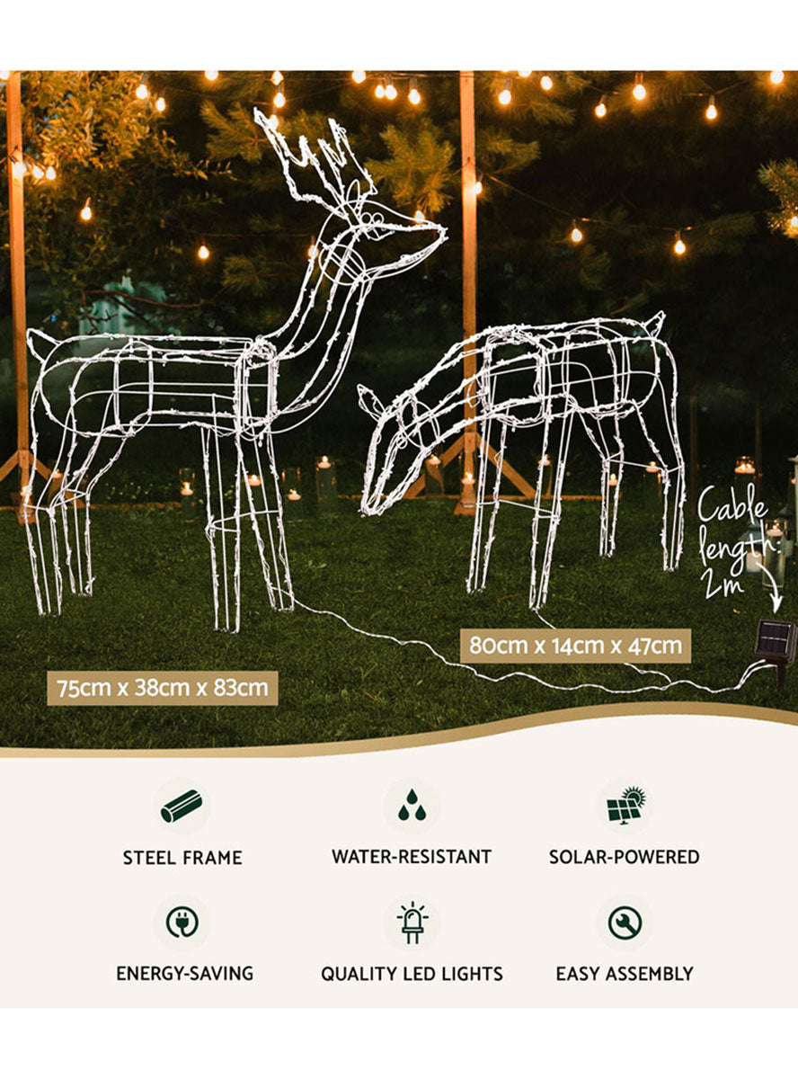 Light Up 2 Piece Reindeer Christmas Decorations - Details Image