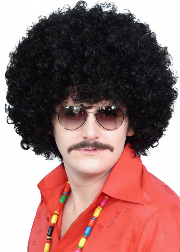 Mens Black 70s Afro Costume Wig - Main Image
