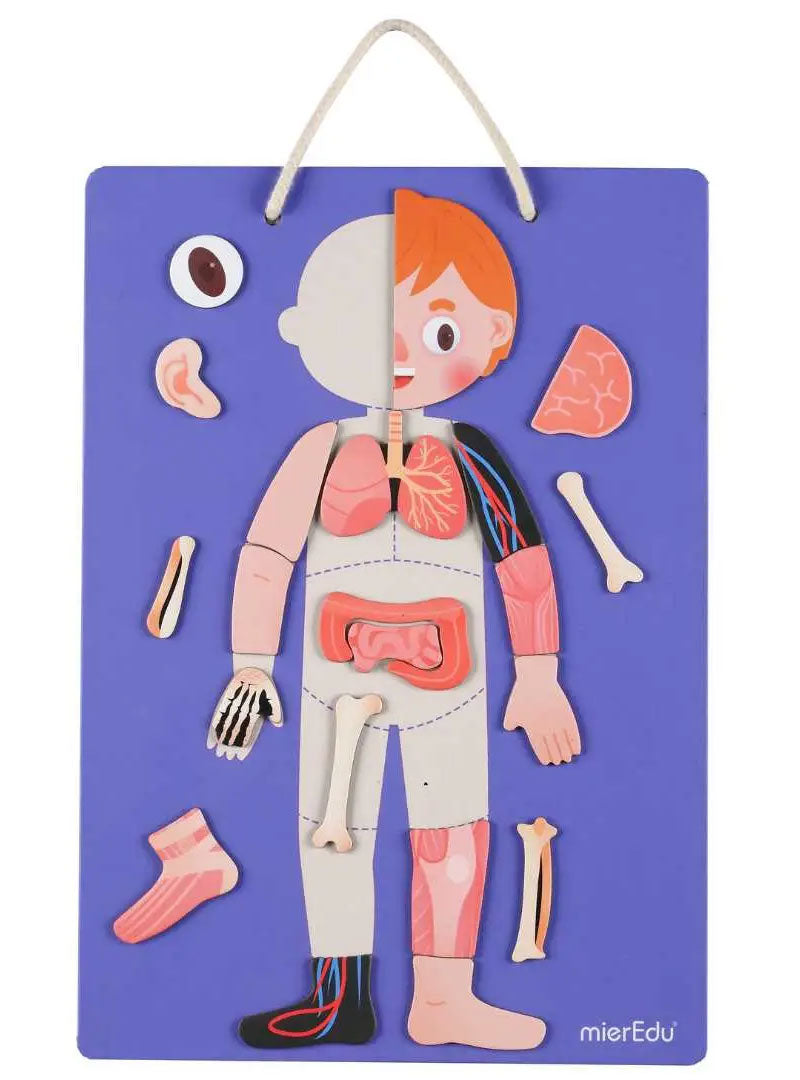 All About The Human Body And Emotions Kids Magnetic Puzzle Set - Set Up Image 2