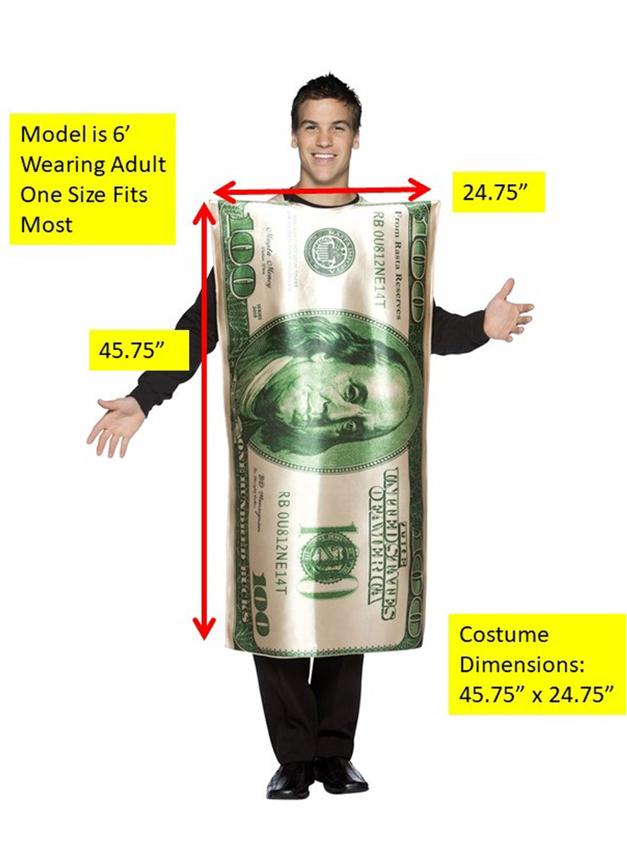 American 100 Bill Novelty Adults Costume - Details Image