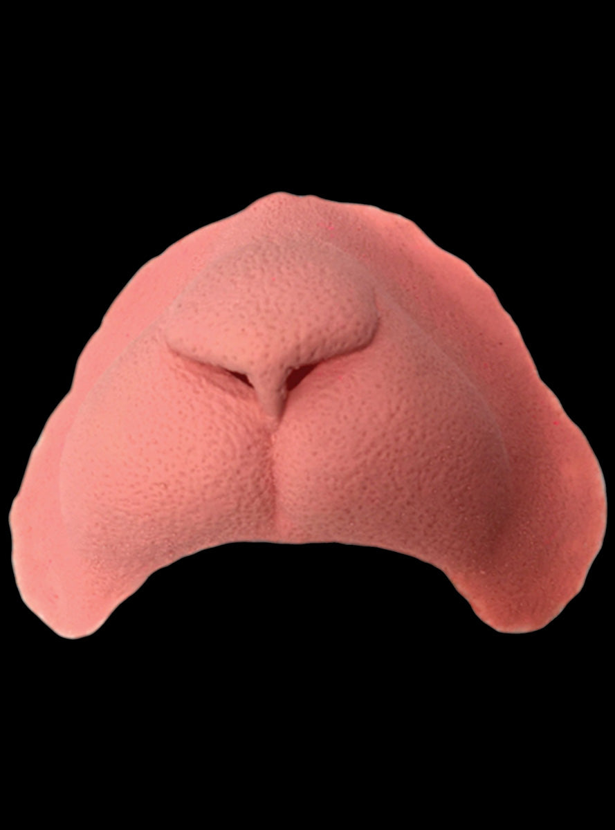 Cat Nose Latex Prosthetic Makeup - Alternative Image 2