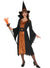 Image of Classic Orange Witch Plus Size Womens Halloween Costume - Main Image