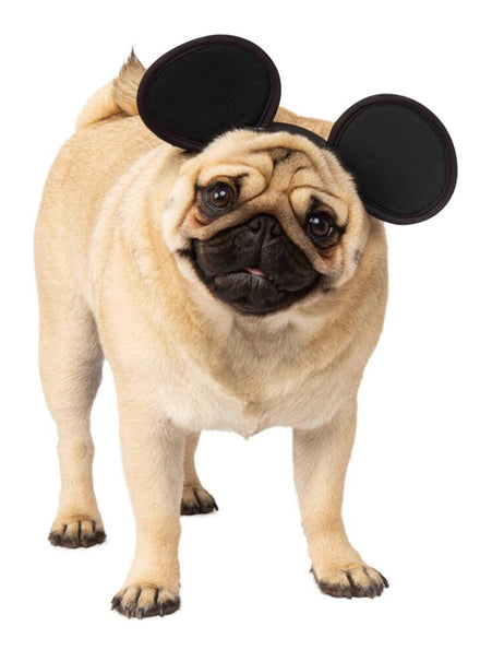 Disney Mickey Mouse Pet Dog Costume Ears M - Main Image