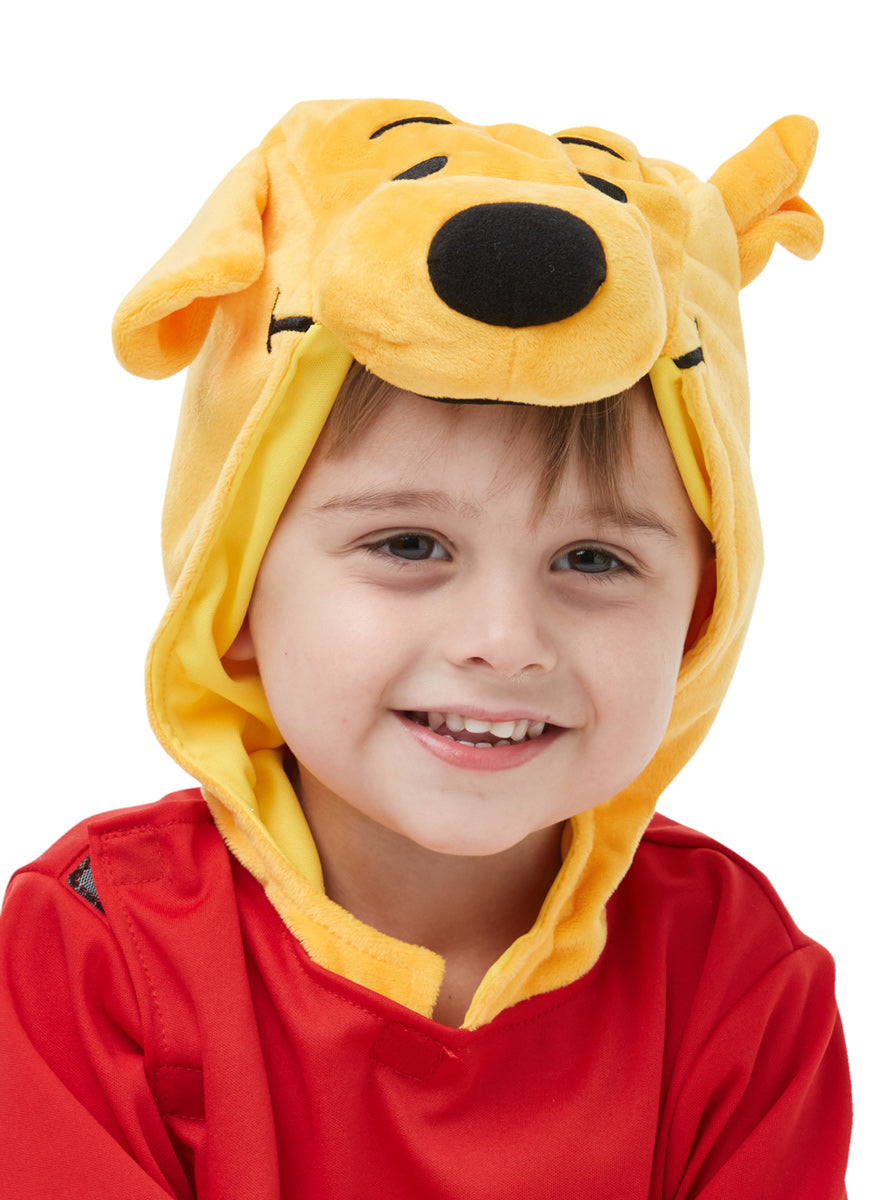 Toddler Boys Winnie The Pooh Disney Costume Onesie - Close Image 1