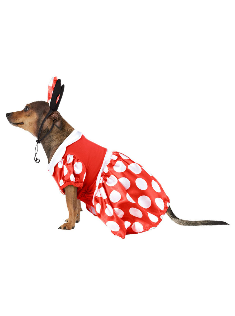 Disney Minnie Mouse Pet Dog Dress Up Costume - Alternative Side Image