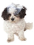 Fancy White Bridal Costume Hat for Dog - Main Image
