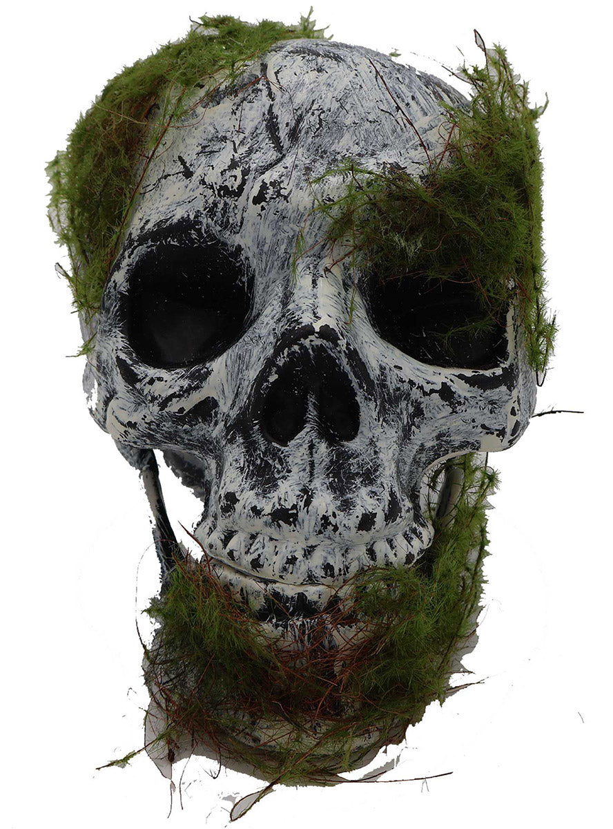 20cm Halloween Fright Night Moss Covered Skull Decoration - Main Image
