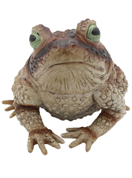 23cm Halloween Fright Night Toad Decoration - Main Image