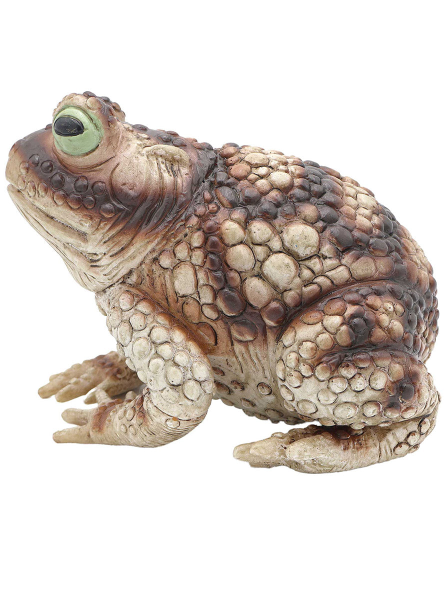 23cm Halloween Fright Night Toad Decoration - Side Image