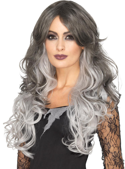 Womens Black And Grey Curly Halloween Costume Wig - Main Image