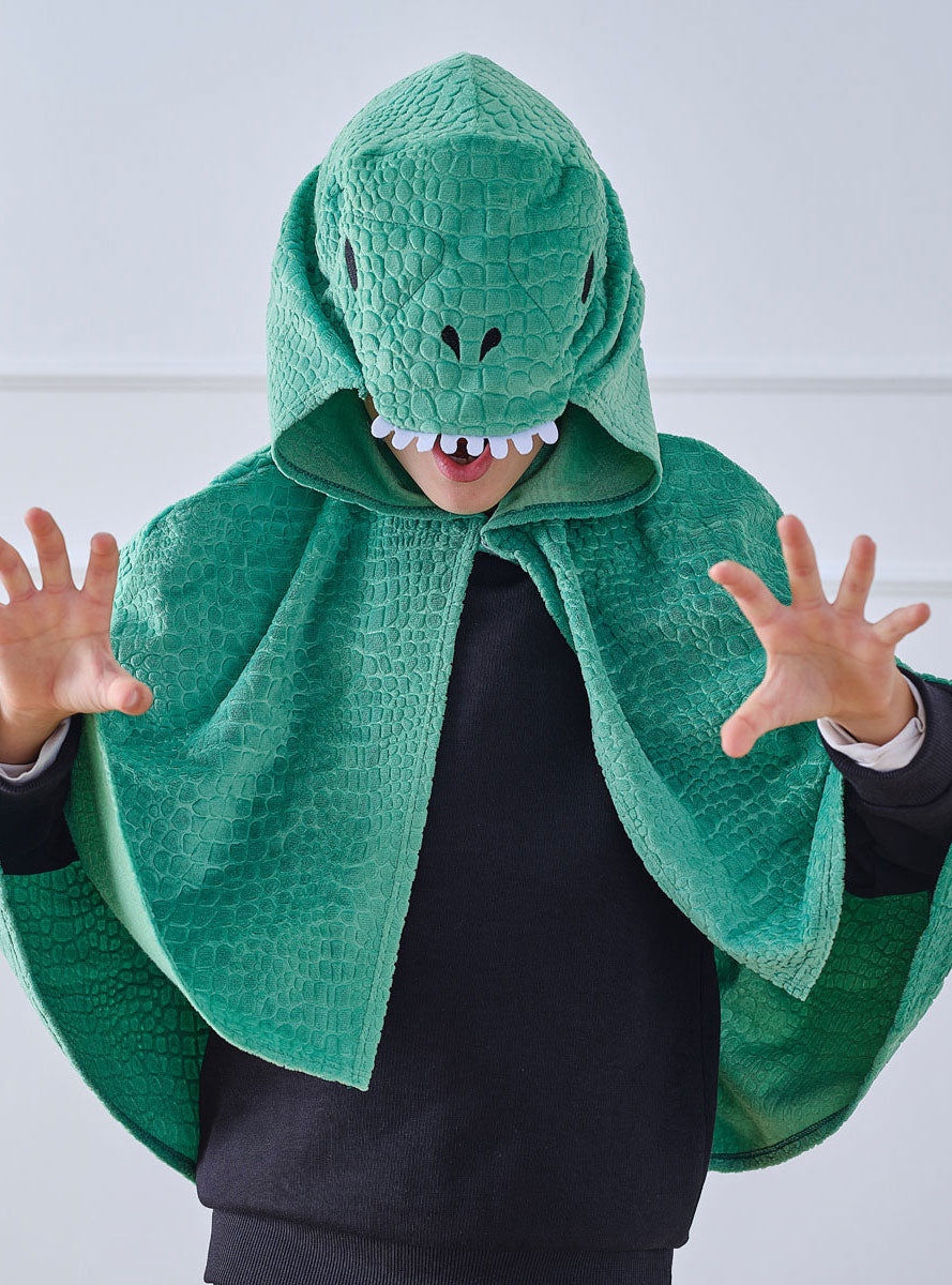 Kids Deluxe Green Dragon Costume Cape Main Image
