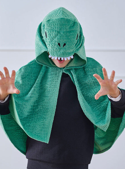 Kids Deluxe Green Dragon Costume Cape Main Image