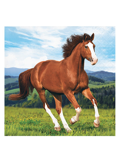 Horse and Pony 16 Pack Paper Beverage Napkins – Main Image