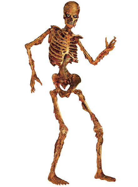 Halloween 130cm Jointed Skeleton Cut Out - Main Image