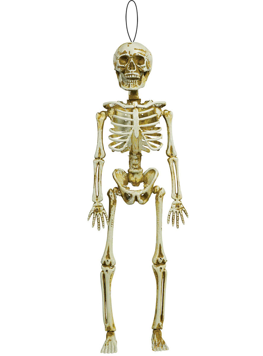 Hanging Mini Halloween Skeleton Decoration - Main Image