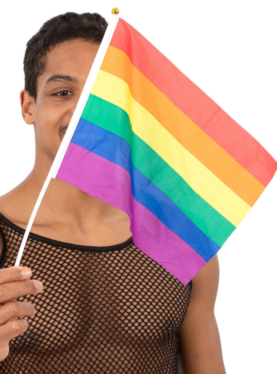 12 Pack Of Mardi Gras Pride Rainbow Flags - Main Image