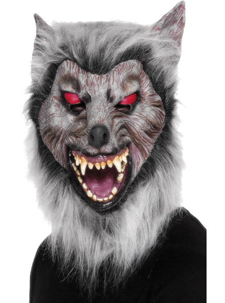 Adults Grey Wolf Full Head Latex Halloween Mask - Main Image