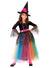 Girls Rainbow Spider Witch Halloween Costume - Main Image