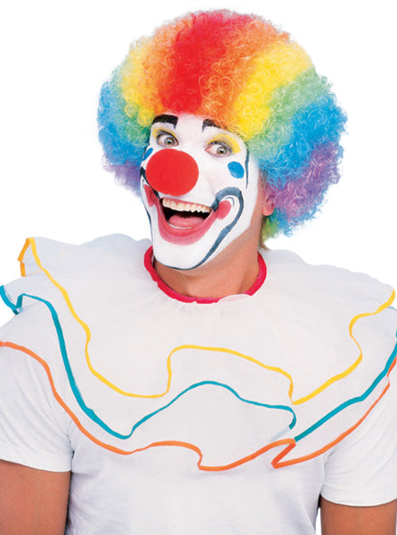 Adults Rainbow Striped Clown Afro Costume Wig - Main Image