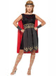 Main image of Roman Warrior Womens Plus Size Gladiator Costume
