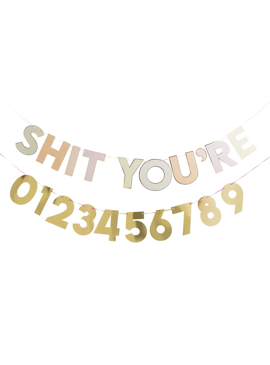 Shit You’re Old Customisable 2m Long Birthday Party Banner - Main Image
