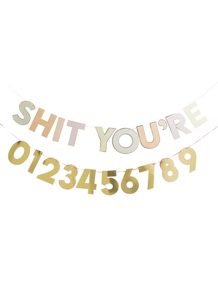 Shit You’re Old Customisable 2m Long Birthday Party Banner - Main Image