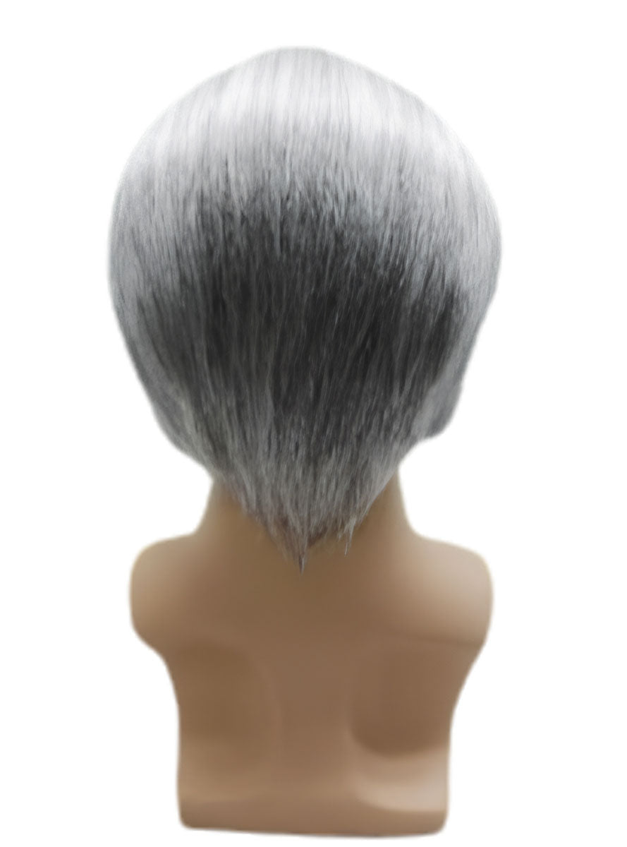 Mens Skipper Grey Balding Costume Wig And Eyepatch Set Back Image