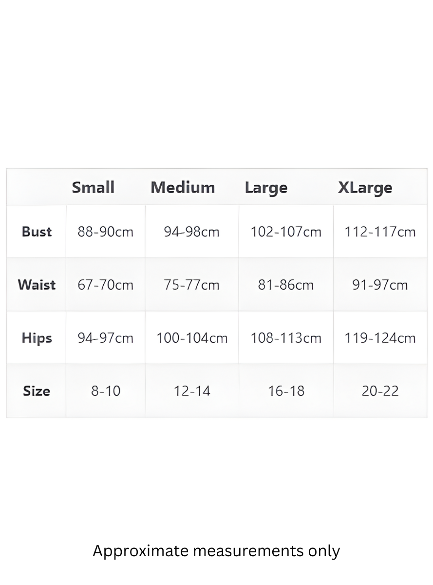 Native American Indian Inspired Deluxe Womens Costume