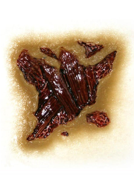 Tinsley Transfers Zombie Gash 3D FX Transfer - Alternative Image 1