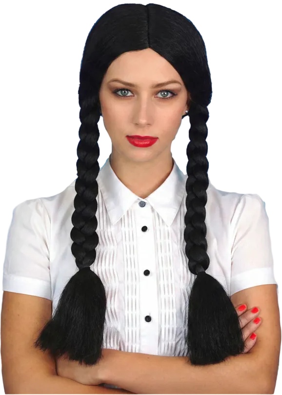 Womens Black Plaited Wednesday Costume Wig - Main Image