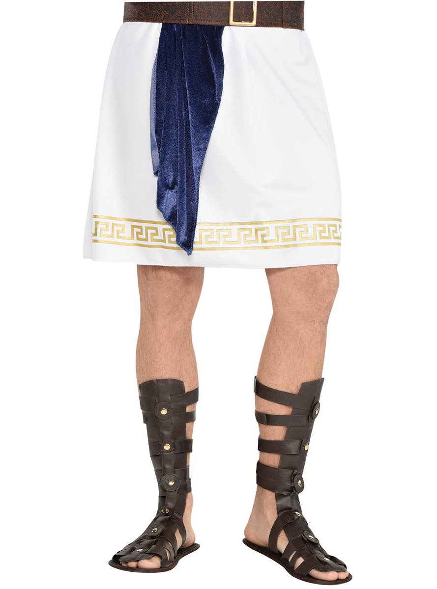 Brown Leather Look Gladiator Costume Sandals for Men - Main Image