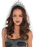 Image of Plastic Silver Tiara with Grey Veil