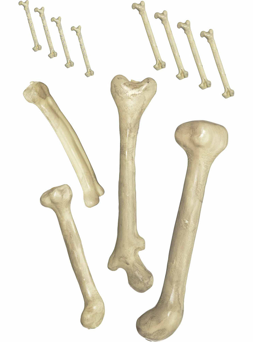 Bag of Bones Halloween Decoration - Main Image