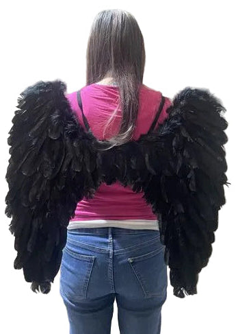 Adults dark angel black feather costume wings 