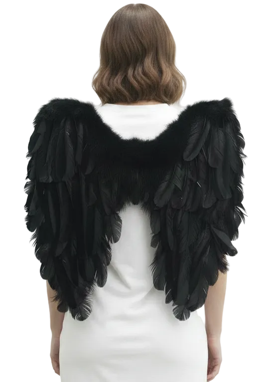 Adults Black Feather 50cm Angel Costume Wings - main image