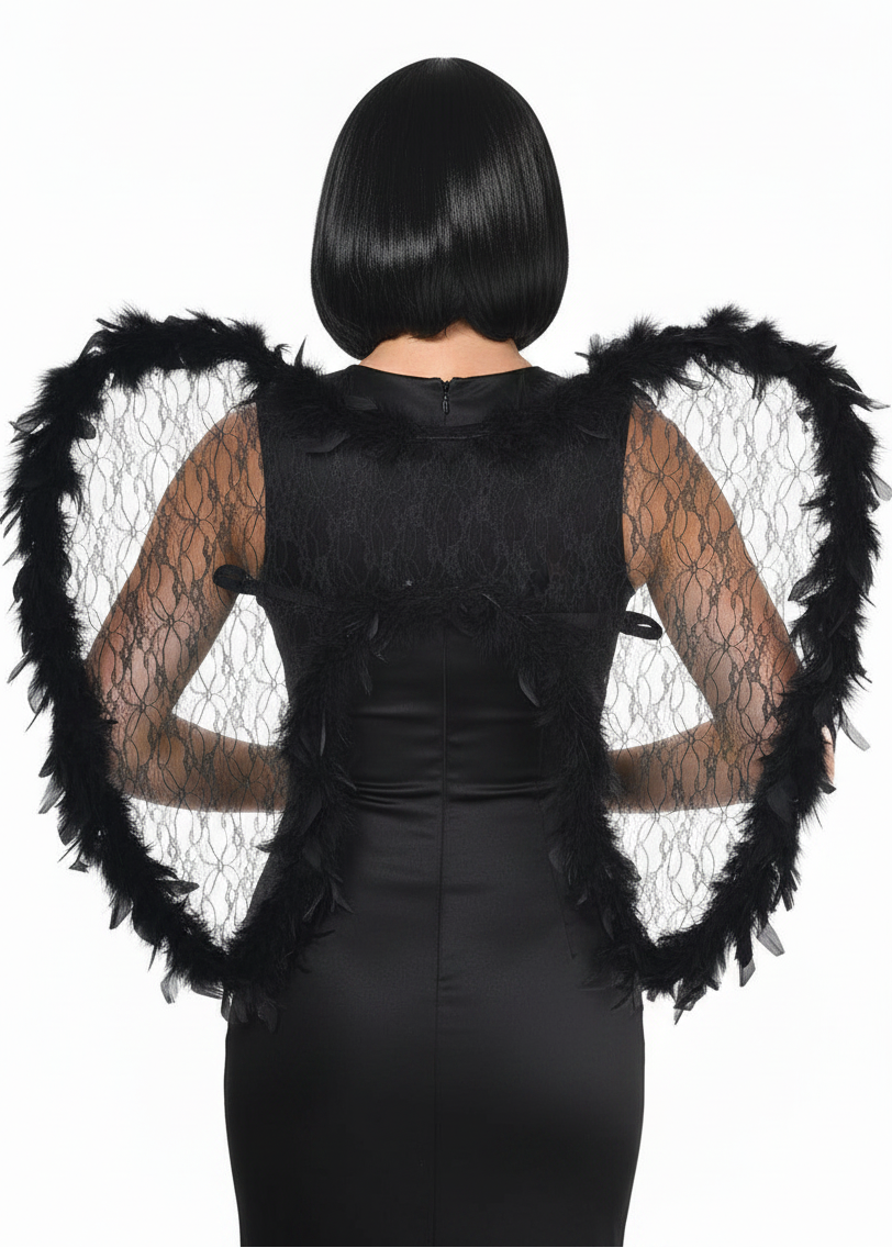 Large Sheer Black Lace Wings with Fluffy Black Feather Trim - Main Image